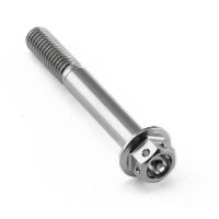 M6 Titanium Hex Head Flanged Race Bolt