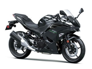 Ninja 500 2024