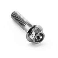 M6 Titanium Hex Head Flanged Race Bolt